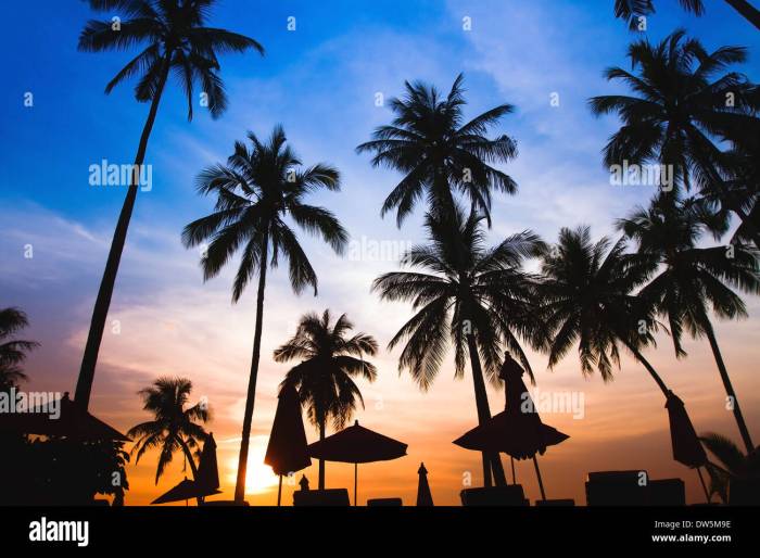 Finding the perfect luxury beach hotel